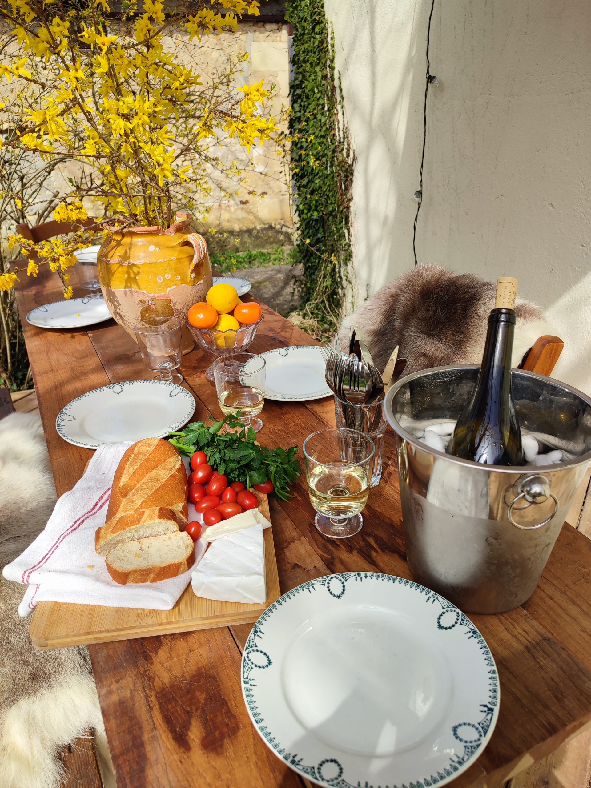 gite outside table with food and wine. linden meadow, france